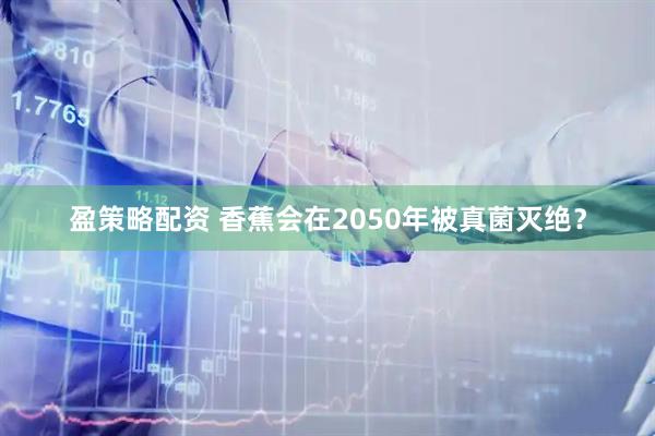 盈策略配资 香蕉会在2050年被真菌灭绝？