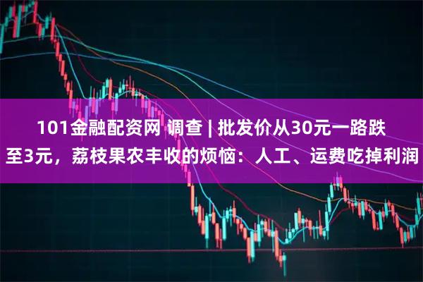 101金融配资网 调查 | 批发价从30元一路跌至3元，荔枝果农丰收的烦恼：人工、运费吃掉利润