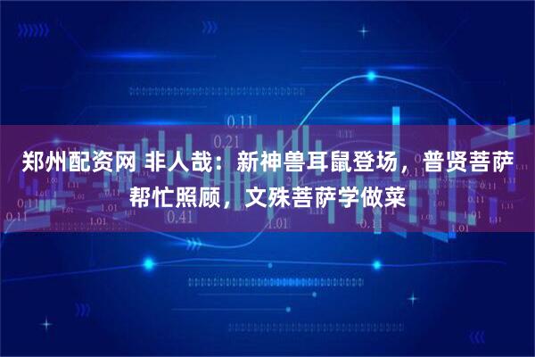 郑州配资网 非人哉：新神兽耳鼠登场，普贤菩萨帮忙照顾，文殊菩萨学做菜