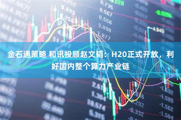 金石通策略 和讯投顾赵文韬：H20正式开放，利好国内整个算力产业链
